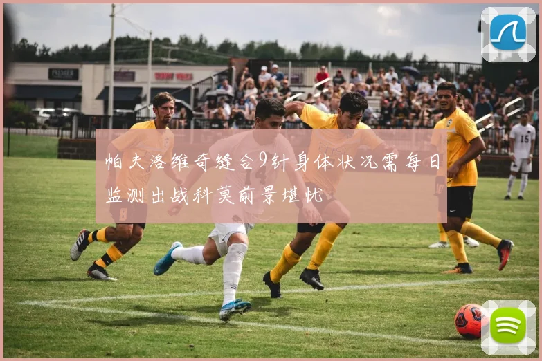 帕夫洛维奇缝合9针身体状况需每日监测出战科莫前景堪忧